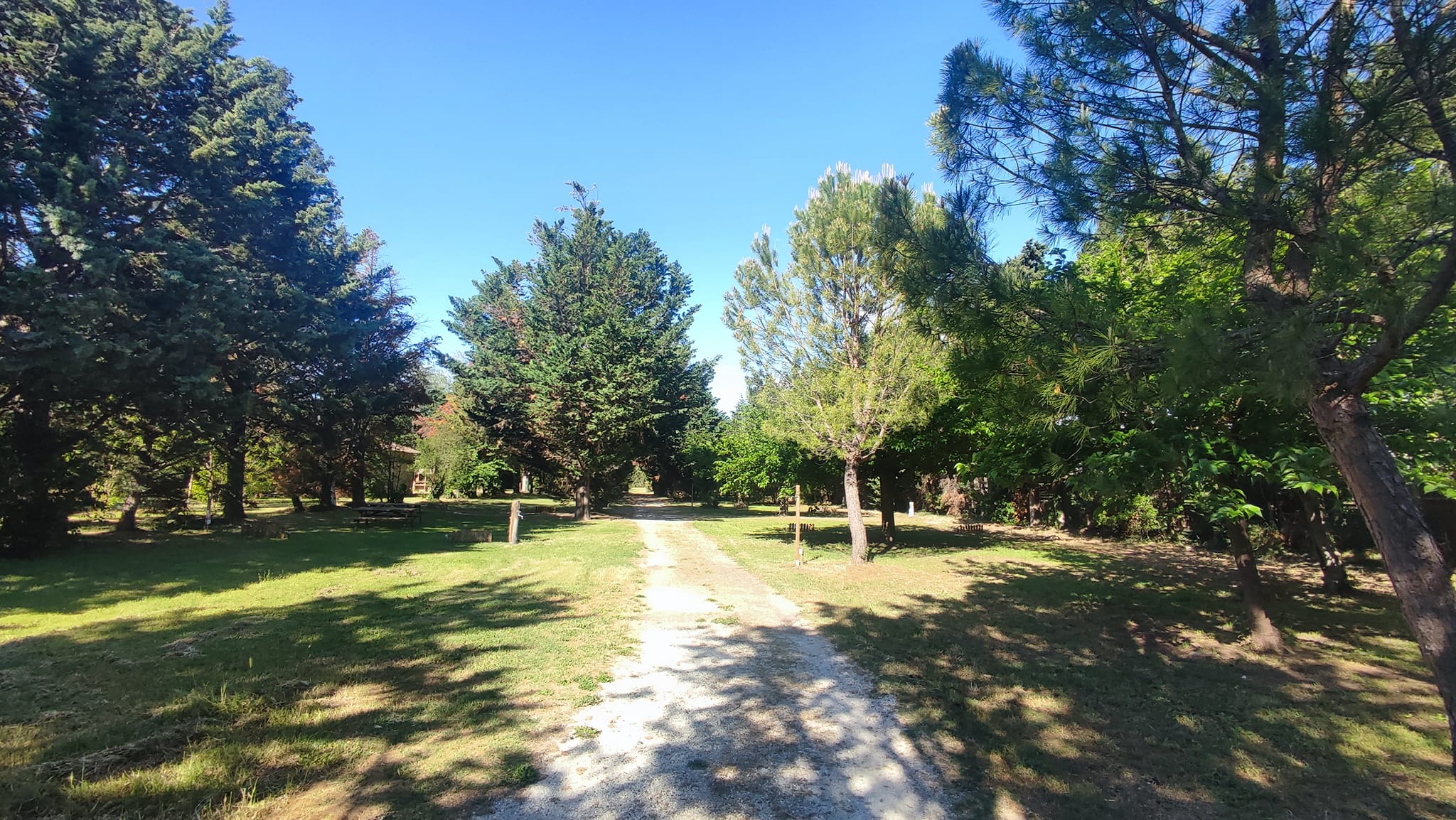 allée emplacement