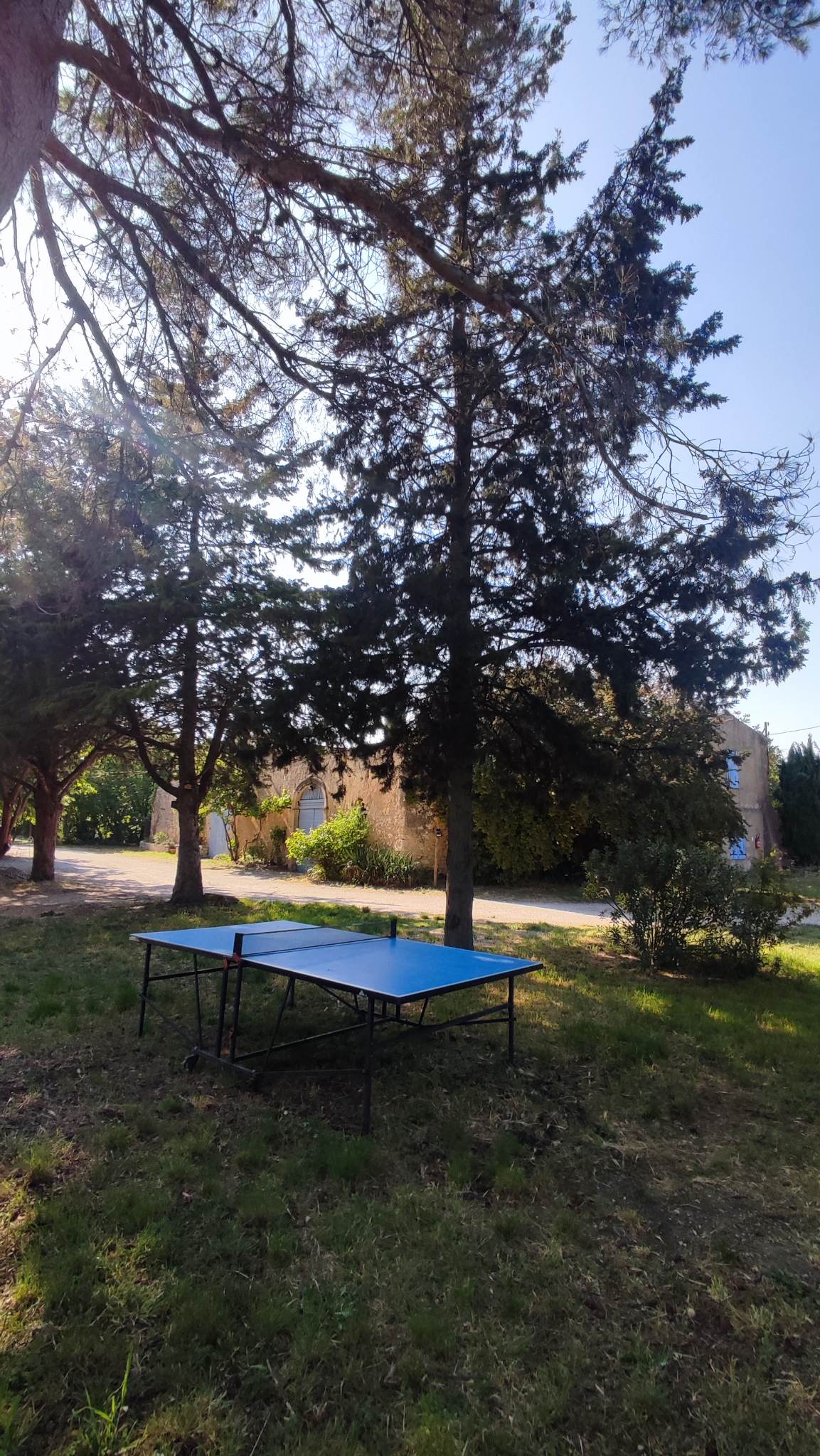table de ping pong en libre service