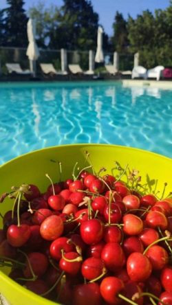 Camping Les Cerisiers Luberon