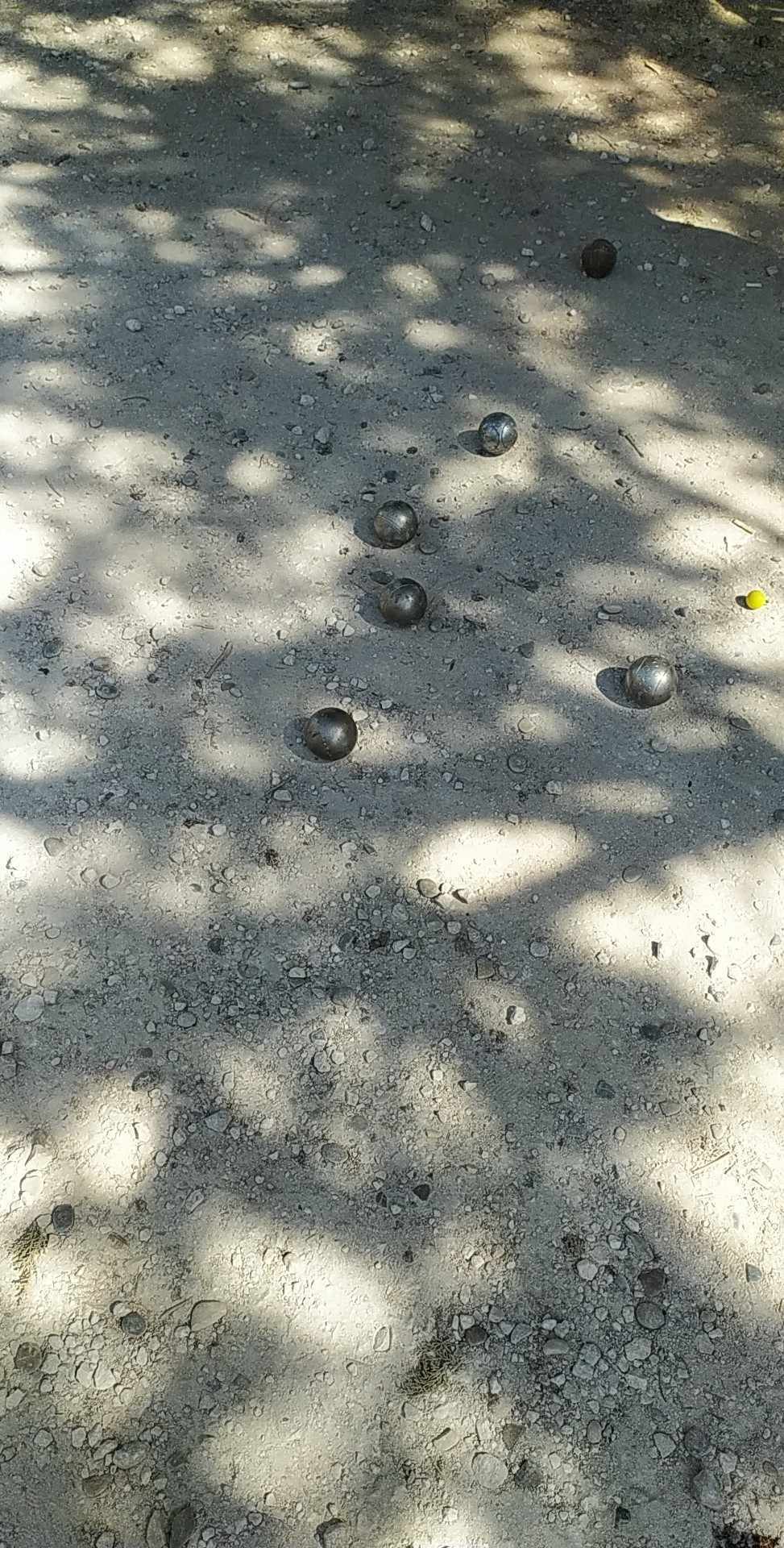 concours de pétanque tous les dimanches aux Cerisiers