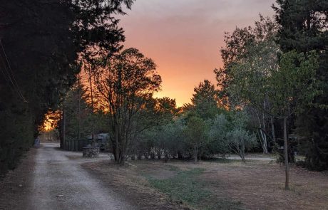 coucher de soleil aux Cerisiers