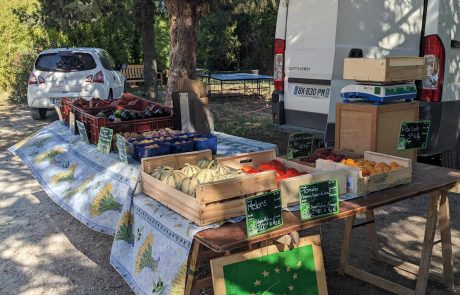 le petit marché du jeudi aux Cerisiers - vente de légumes bio locaux