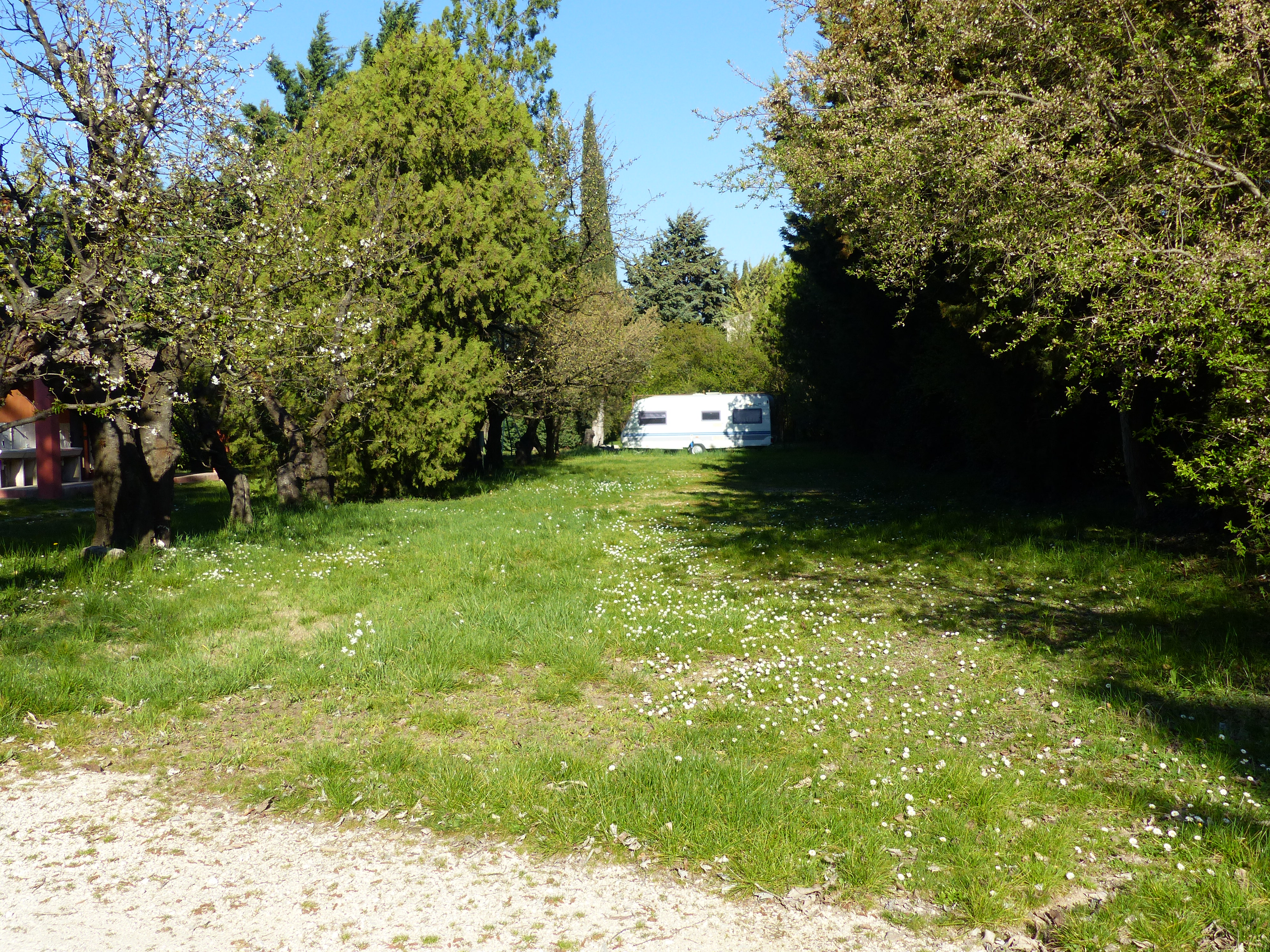 Emplacement nu - Camping Les Cerisiers_1