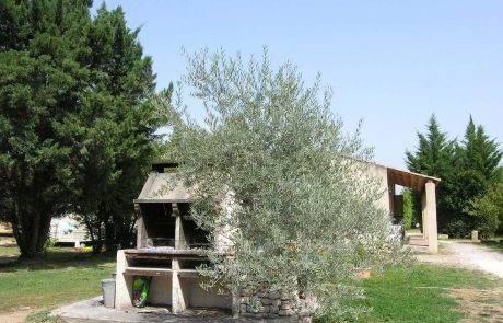 camping les cerisiers luberon