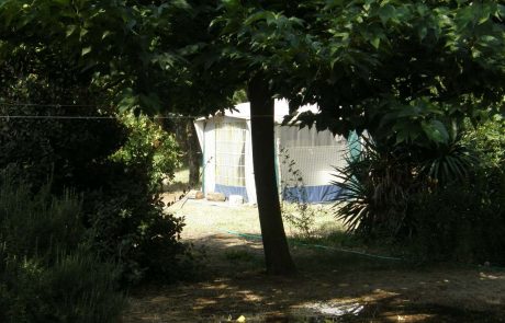 emplacement tente camping les cerisiers luberon