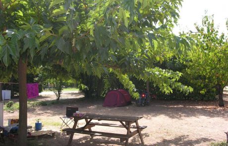 emplacements camping les cerisiers luberon